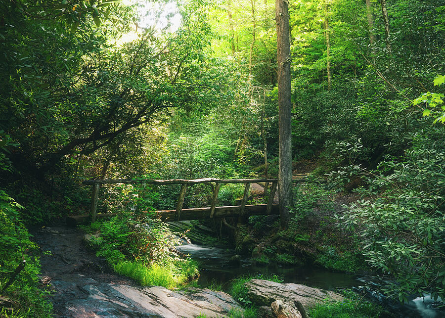 Abrams Falls hiking trail morning light print by Dan Sproul