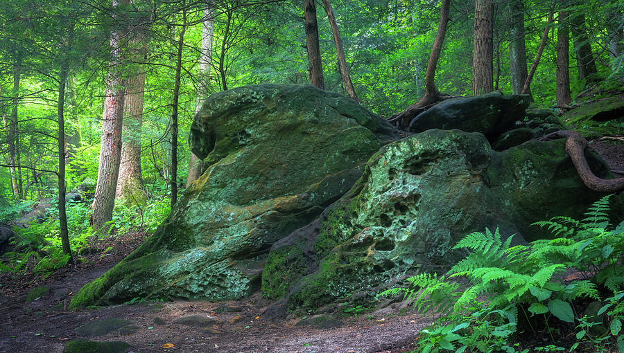 Ancient boulders and ferns at Mohican State Park Ohio