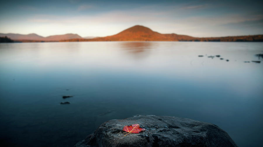 Single red maple leaf on a rock overlooking Wilson Pond Maine