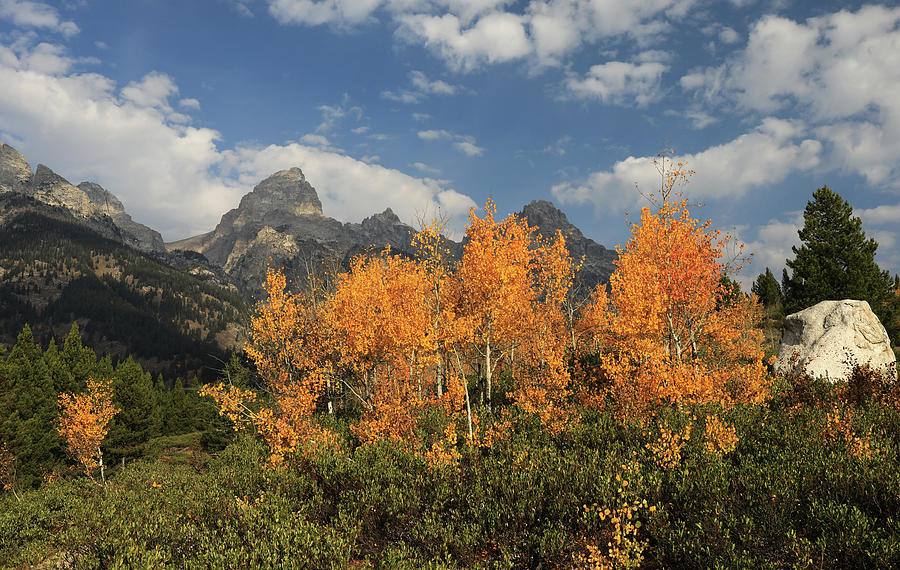 Orange aspens beneath the Teton Range near the Taggart Lake Trailhead in autumn