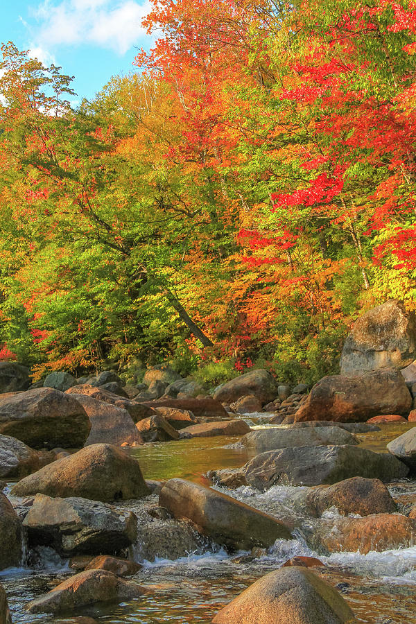 Autumn stream with colorful foliage and flowing water by Dan Sproul