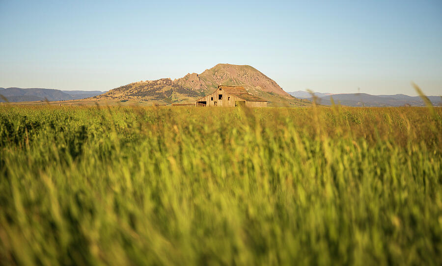 Barn Field at Bear Butte expansive landscape print by Dan Sproul