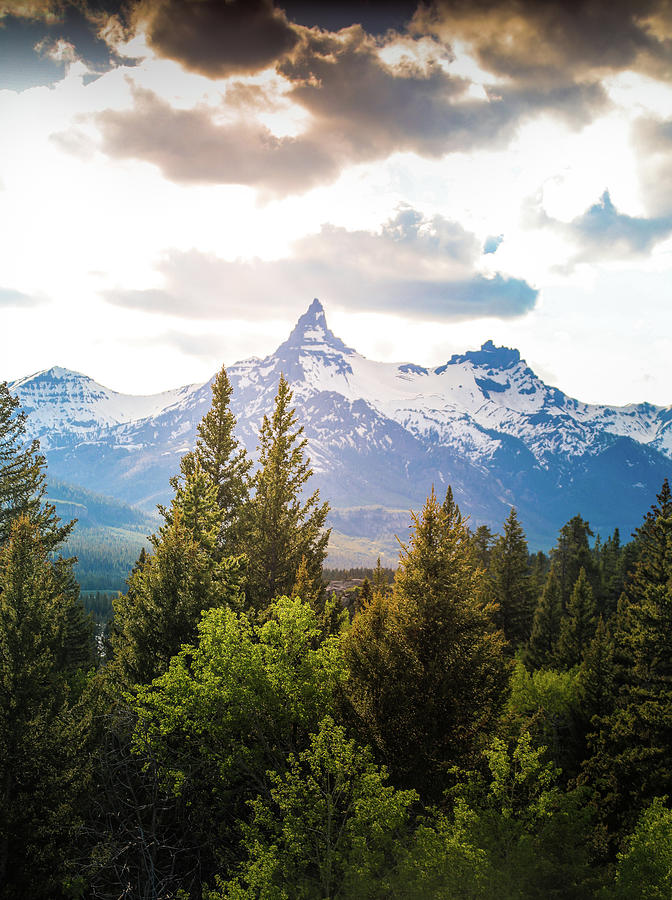 Beartooth Mountains forest landscape print by Dan Sproul
