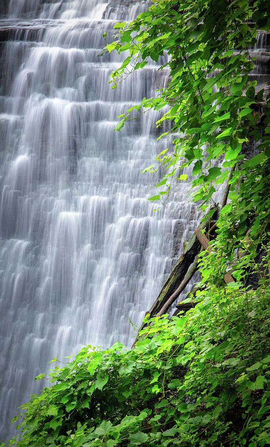 Brandywine Falls framed by summer leaves in Cuyahoga Valley National Park