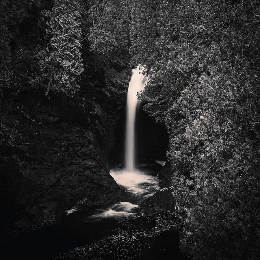 Cascade Falls Minnesota black and white forest waterfall photography by Dan Sproul