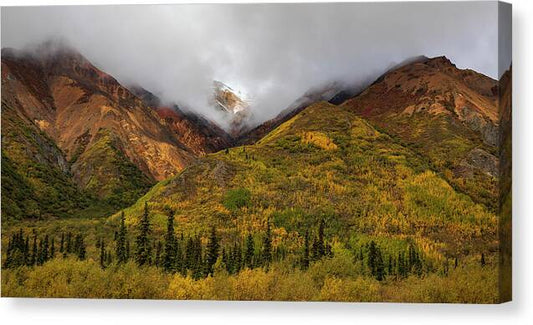 Alaska Range In Autumn Landscape - Canvas Print