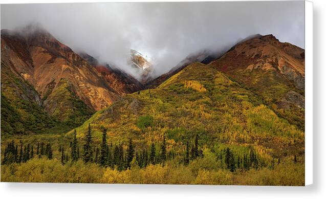 Alaska Range In Autumn Landscape - Canvas Print