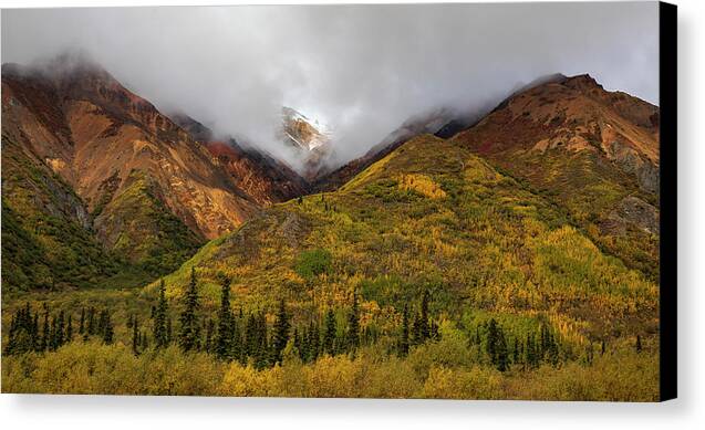 Alaska Range In Autumn Landscape - Canvas Print