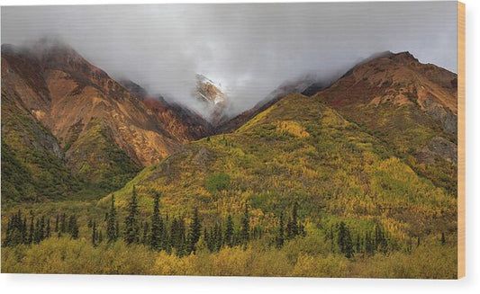 Alaska Range In Autumn Landscape - Wood Print