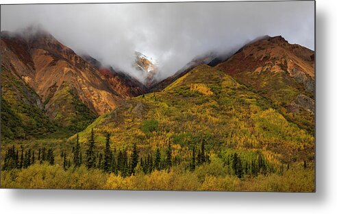 Alaska Range In Autumn Landscape - Metal Print