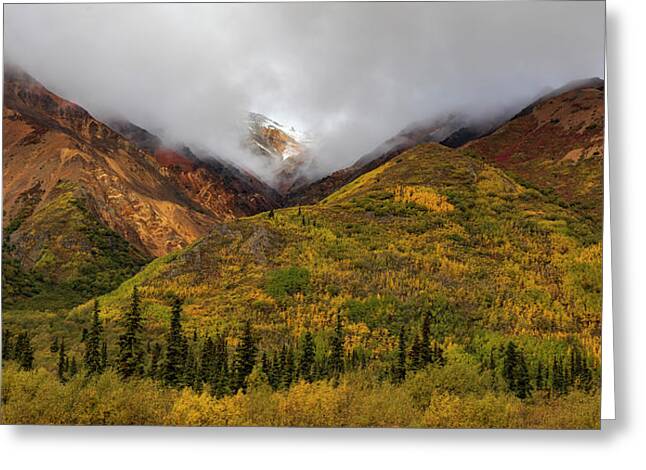 Alaska Range In Autumn Landscape - Greeting Card