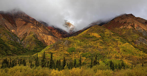 Alaska Range In Autumn Landscape - Art Print