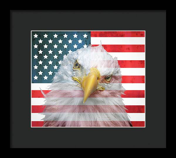 American Flag Bald Eagle Portrait - Framed Print