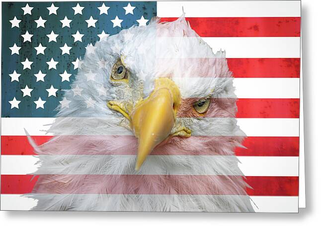 American Flag Bald Eagle Portrait - Greeting Card