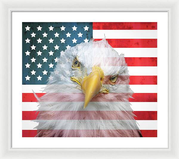 American Flag Bald Eagle Portrait - Framed Print