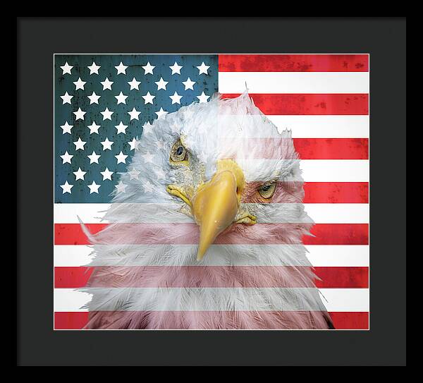 American Flag Bald Eagle Portrait - Framed Print