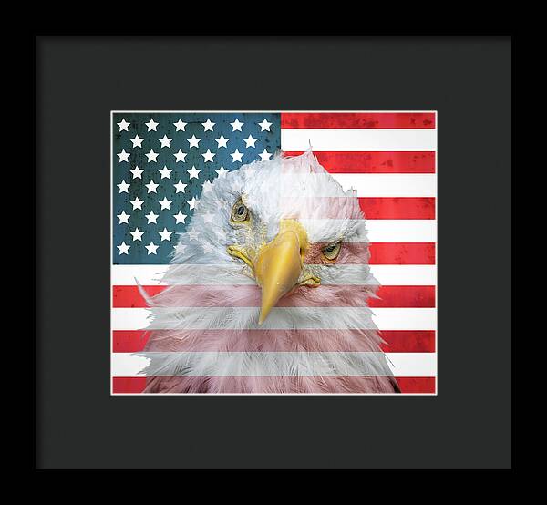 American Flag Bald Eagle Portrait - Framed Print