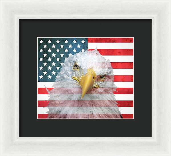 American Flag Bald Eagle Portrait - Framed Print