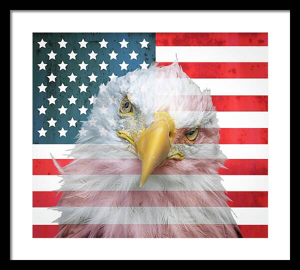 American Flag Bald Eagle Portrait - Framed Print