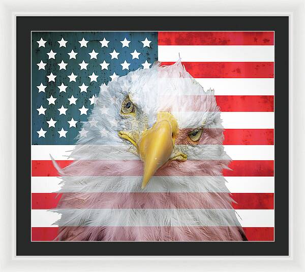 American Flag Bald Eagle Portrait - Framed Print