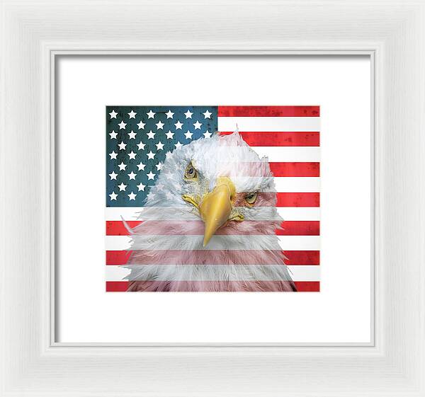 American Flag Bald Eagle Portrait - Framed Print