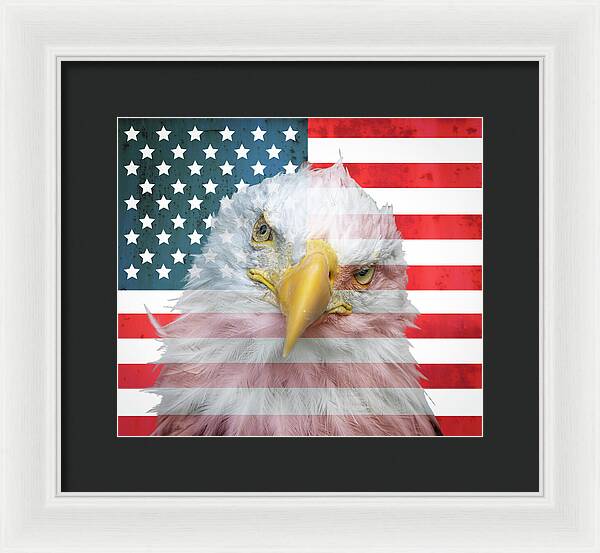 American Flag Bald Eagle Portrait - Framed Print