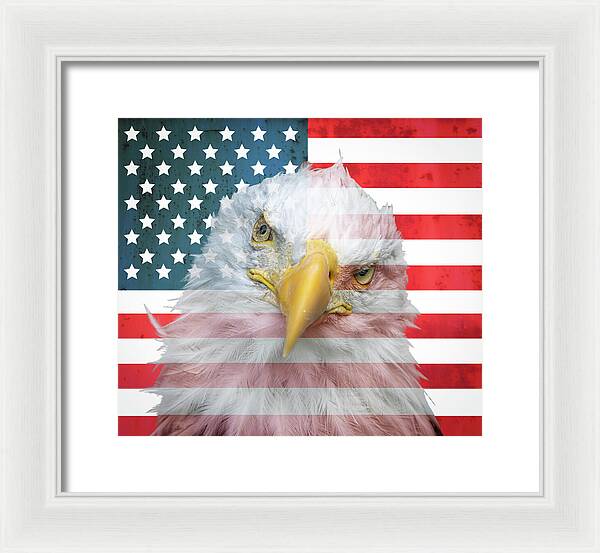 American Flag Bald Eagle Portrait - Framed Print