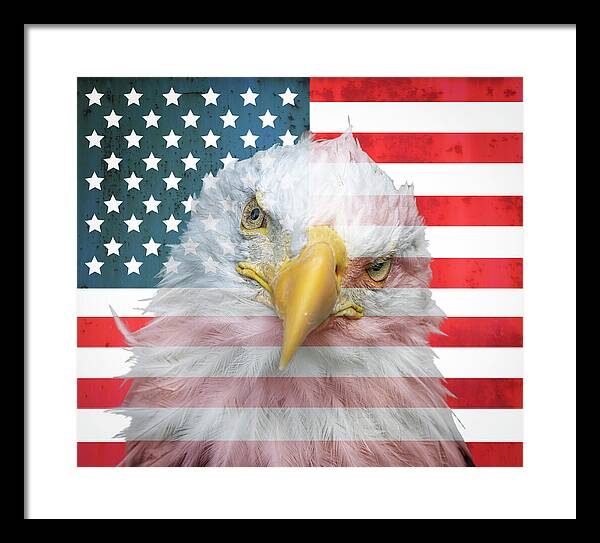 American Flag Bald Eagle Portrait - Framed Print