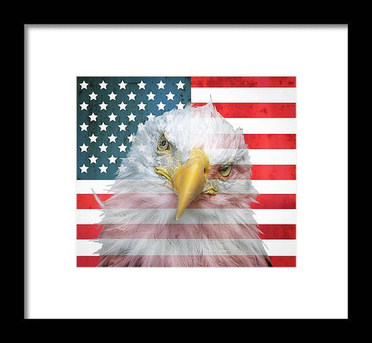 American Flag Bald Eagle Portrait - Framed Print