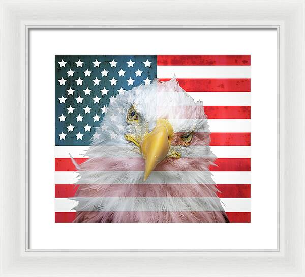 American Flag Bald Eagle Portrait - Framed Print