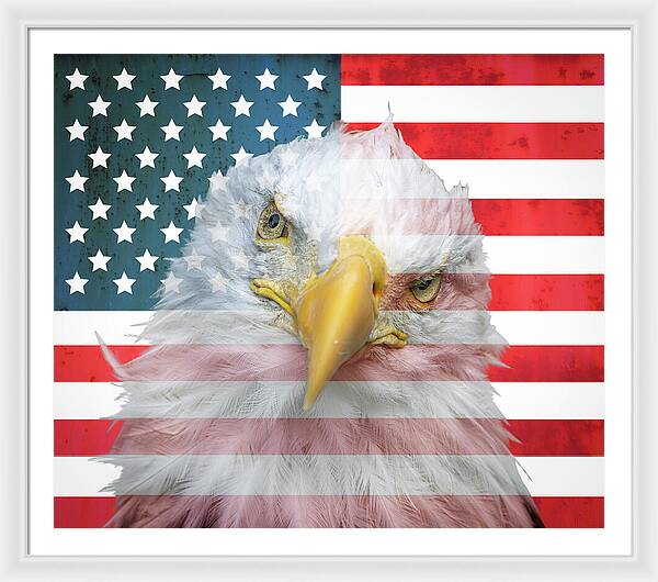 American Flag Bald Eagle Portrait - Framed Print