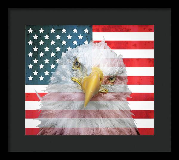 American Flag Bald Eagle Portrait - Framed Print