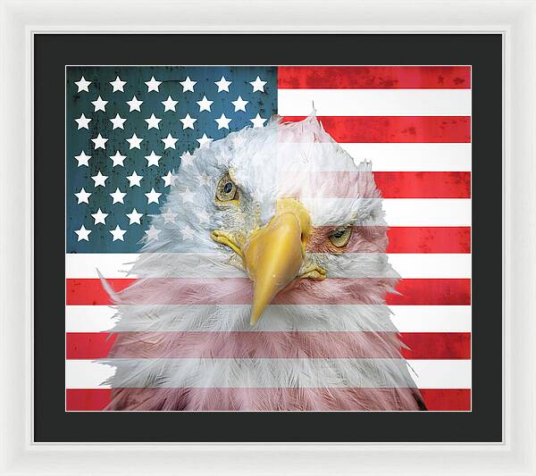 American Flag Bald Eagle Portrait - Framed Print