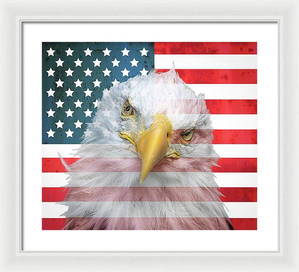 American Flag Bald Eagle Portrait - Framed Print