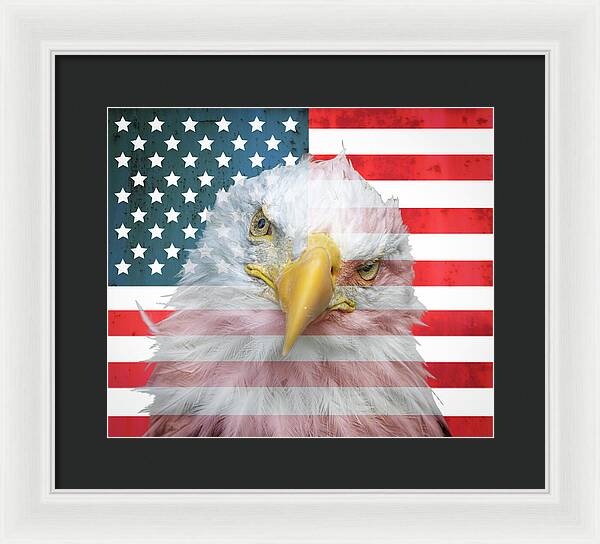 American Flag Bald Eagle Portrait - Framed Print