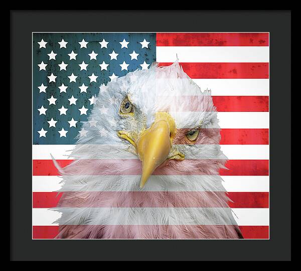 American Flag Bald Eagle Portrait - Framed Print