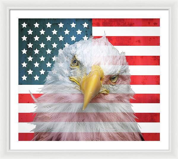 American Flag Bald Eagle Portrait - Framed Print