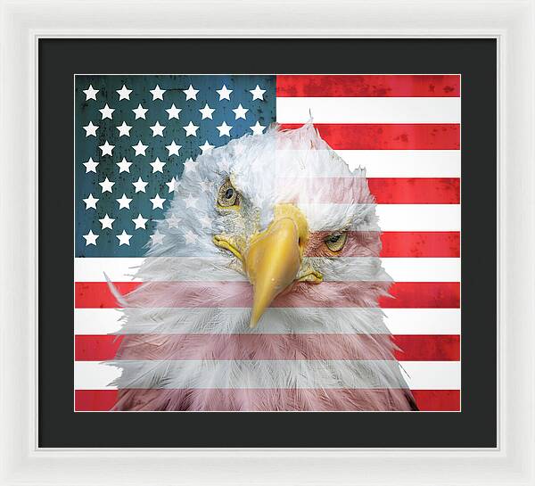 American Flag Bald Eagle Portrait - Framed Print