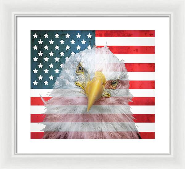 American Flag Bald Eagle Portrait - Framed Print