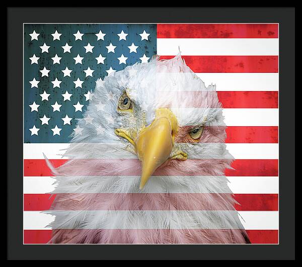 American Flag Bald Eagle Portrait - Framed Print