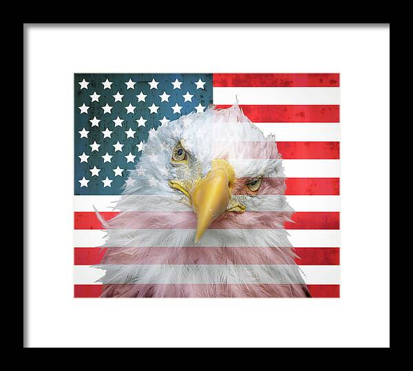 American Flag Bald Eagle Portrait - Framed Print