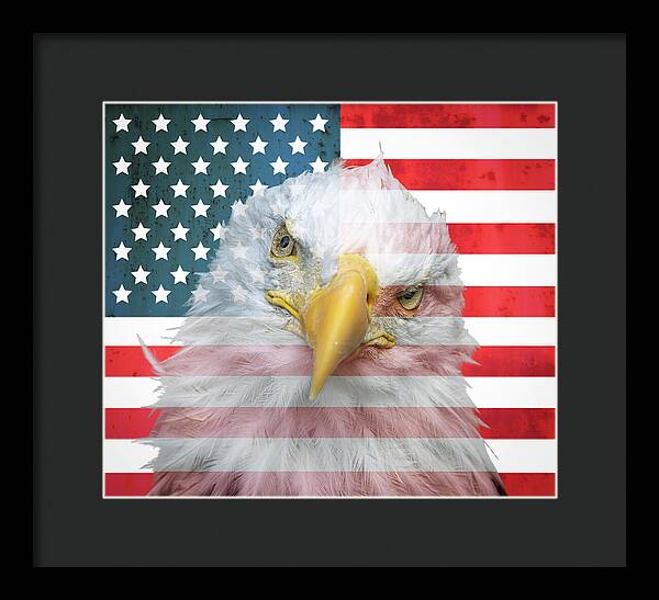 American Flag Bald Eagle Portrait - Framed Print