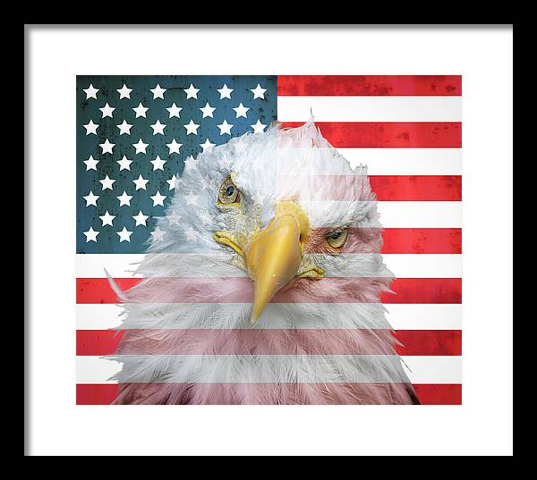 American Flag Bald Eagle Portrait - Framed Print