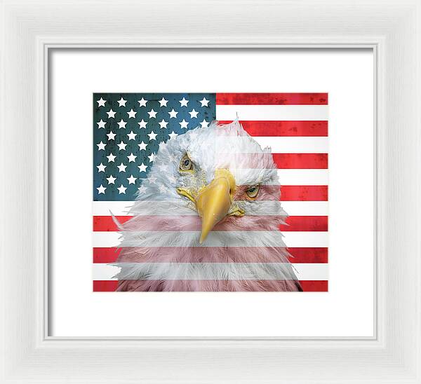 American Flag Bald Eagle Portrait - Framed Print