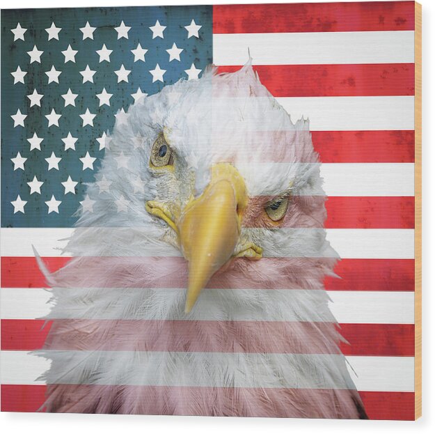 American Flag Bald Eagle Portrait - Wood Print