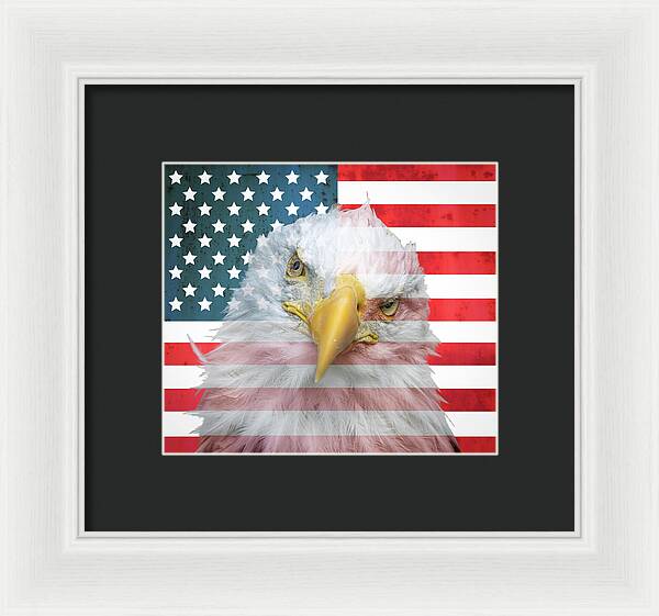 American Flag Bald Eagle Portrait - Framed Print