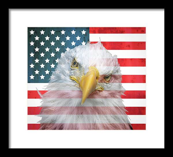 American Flag Bald Eagle Portrait - Framed Print