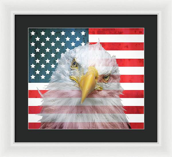 American Flag Bald Eagle Portrait - Framed Print