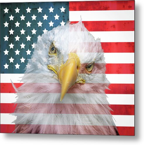 American Flag Bald Eagle Portrait - Metal Print