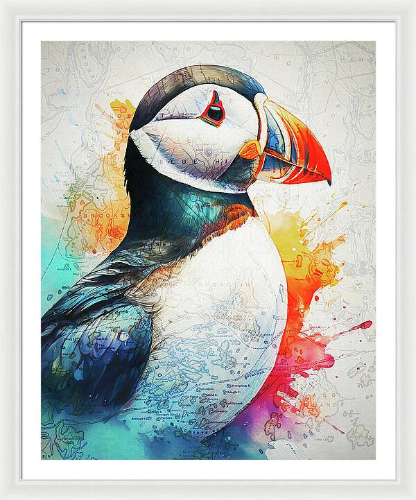 Atlantic Puffin And Maine Coast Map - Framed Print